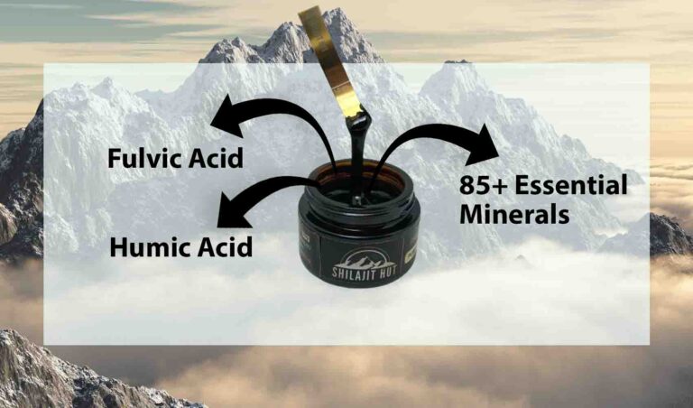 The Revitalizing Power of the Himalayan Shilajit