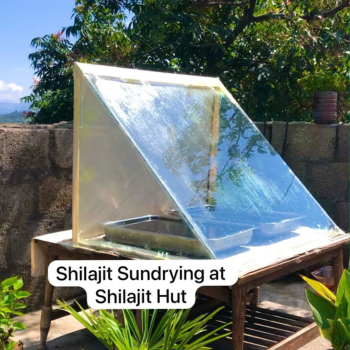 Traditional sundrying of top quality shilajit at the shilajit Hut's facility.