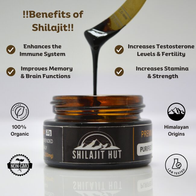 Key Shilajit Benefits
