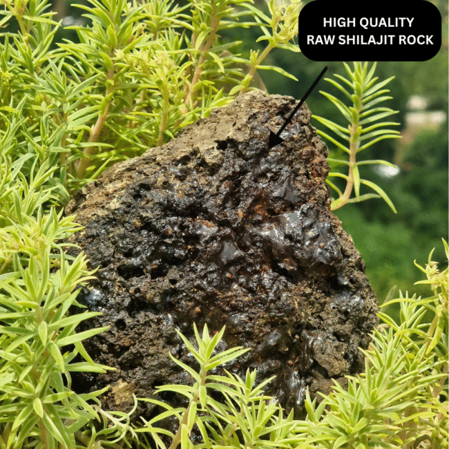 Top Quality Raw Shilajit Rock Straight from the Himalayas.