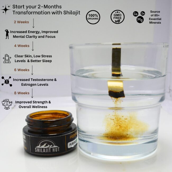 Health Transformation with shilajit